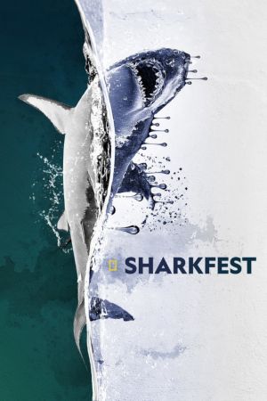 Sharks Up Close with Bertie Gregory