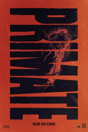 Primate