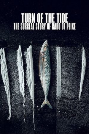 Weißes Meer: Die surreale Story von Rabo de Peixe